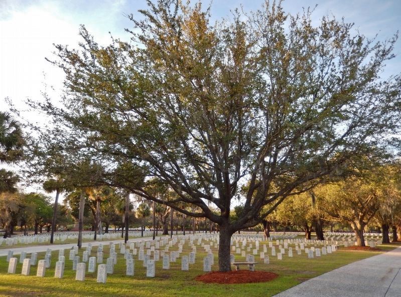 Beaufort National Cemetery<br>(<i>view looking north from near marker</i>) image. Click for full size.
