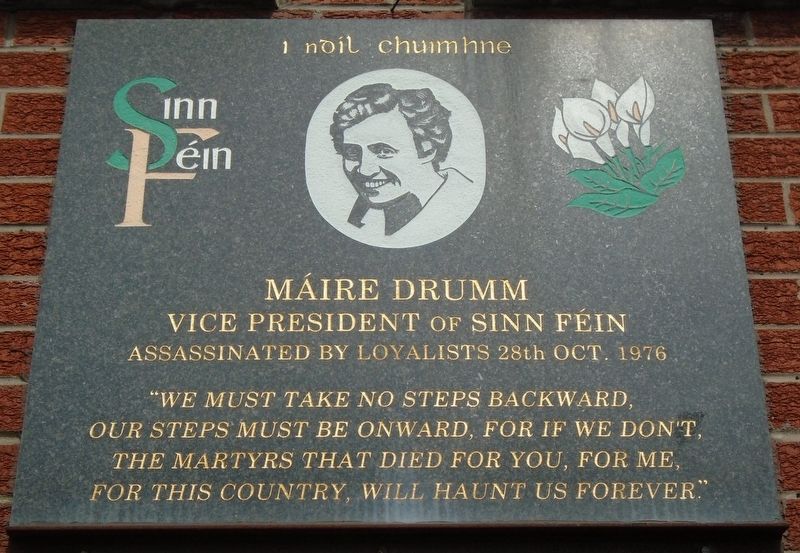 Mire Drumm Marker image. Click for full size.