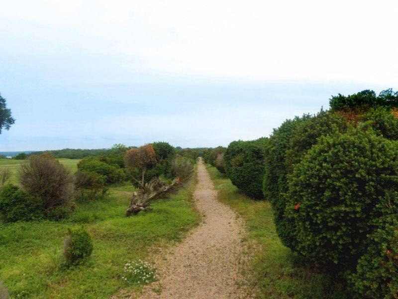 The Landing Road<br>Through the Boxwoods image. Click for full size.