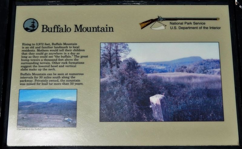 Buffalo Mountain Marker image. Click for full size.