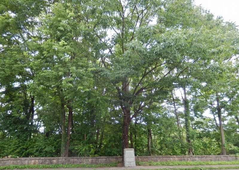 James Alexander Tract Boundary Marker<br>(<i>wide view looking south across Ferdinand Avenue</i>) image. Click for full size.