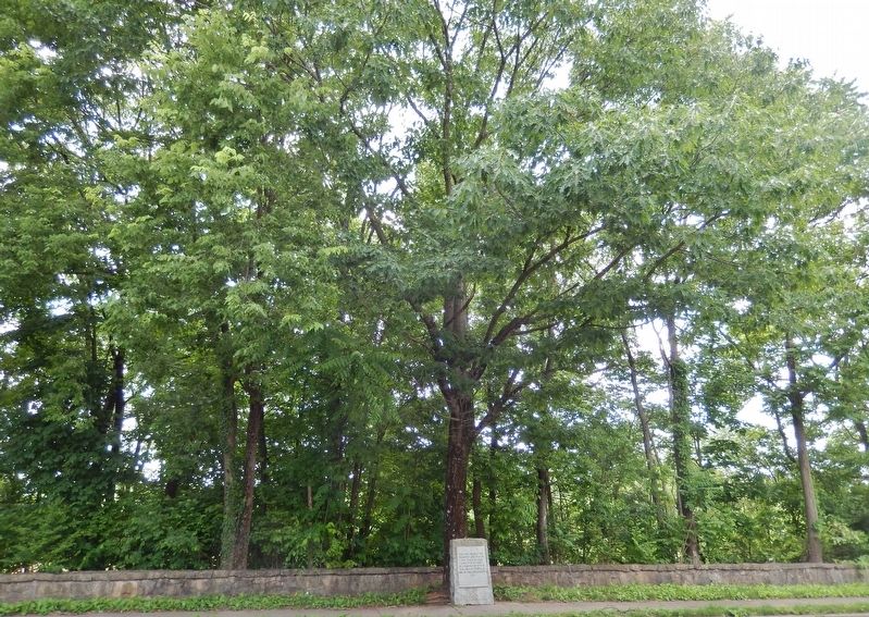 James Alexander Tract Boundary Marker<br>(<i>wide view looking south across Ferdinand Avenue</i>) image. Click for full size.