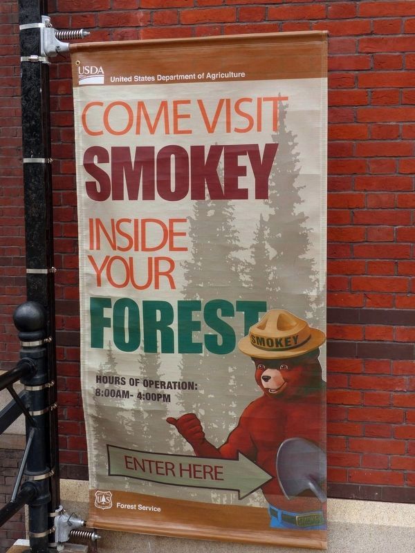 Come Visit Smokey image. Click for full size.