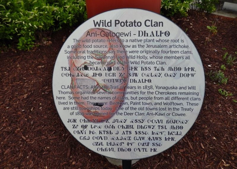 Wild Potato Clan Marker image. Click for full size.