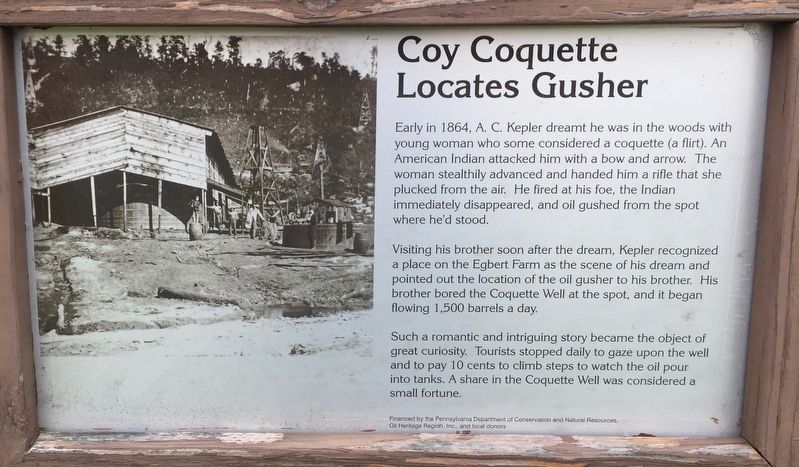 Coy Coquette Locates Gusher Marker image. Click for full size.