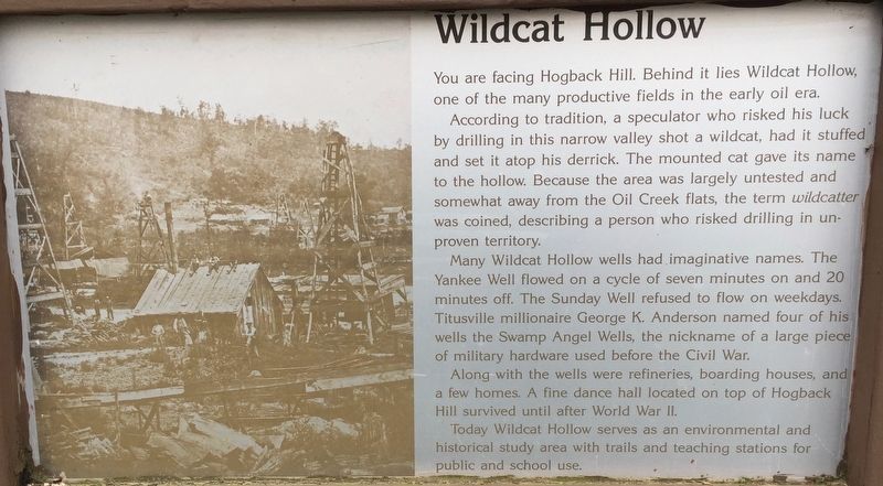 Wildcat Hollow Marker image. Click for full size.