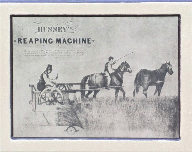 Inventor Obed Hussey Tests His Reaper, 1835 Marker. Click for full size. Inventor Obed Hussey Tests His Reaper, 1835 Marker image. Click for full size.