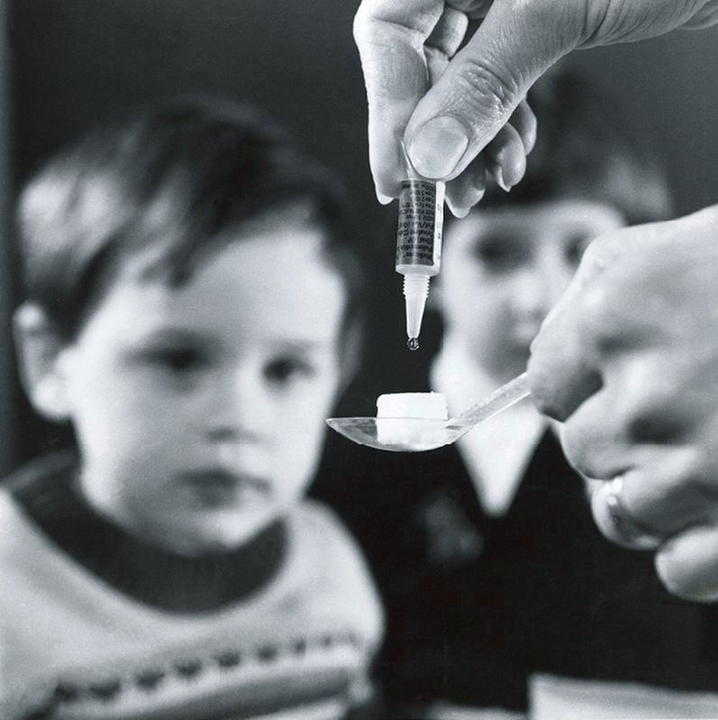 Polio Oral Vaccine Sugar Cube image. Click for full size.