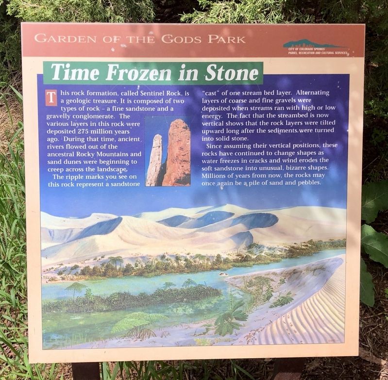 Time Frozen In Stone Marker image. Click for full size.