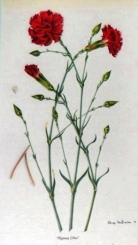 Marker detail: Carnations image. Click for full size.