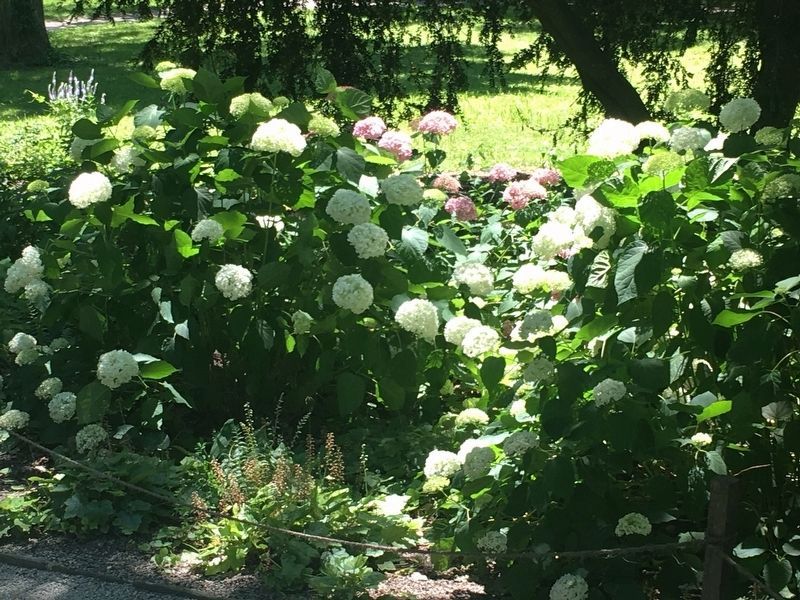 Bartram�s Garden image. Click for full size.