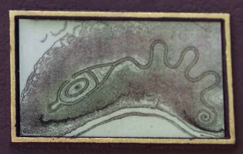 The Great Serpent Mound image. Click for full size.
