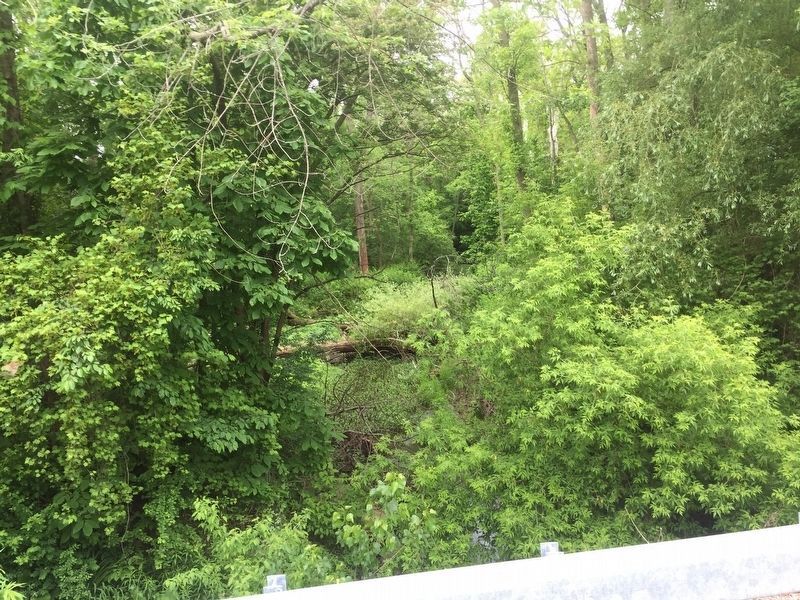 View of Fish Creek looking towards the Spring. Click for full size. View of Fish Creek looking towards the Spring image. Click for full size.