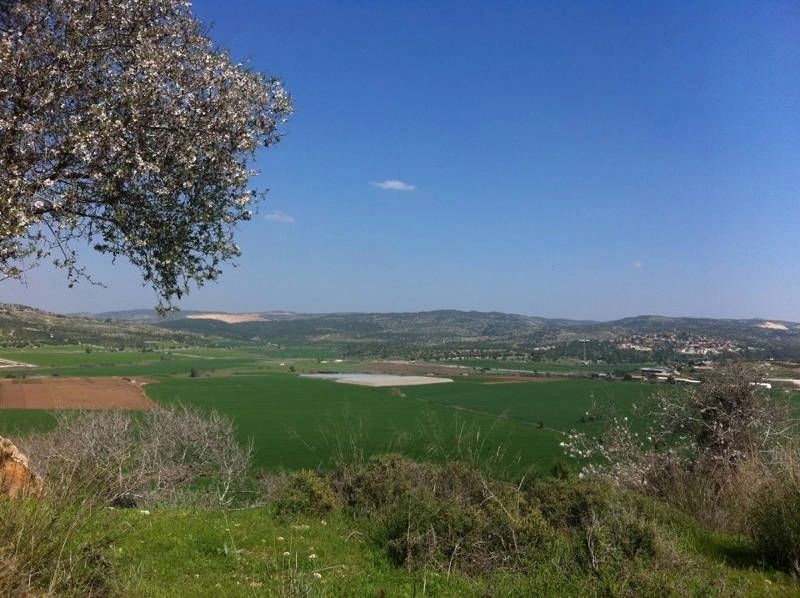 Valley of Elah viewed from Tel Azekah image. Click for full size.