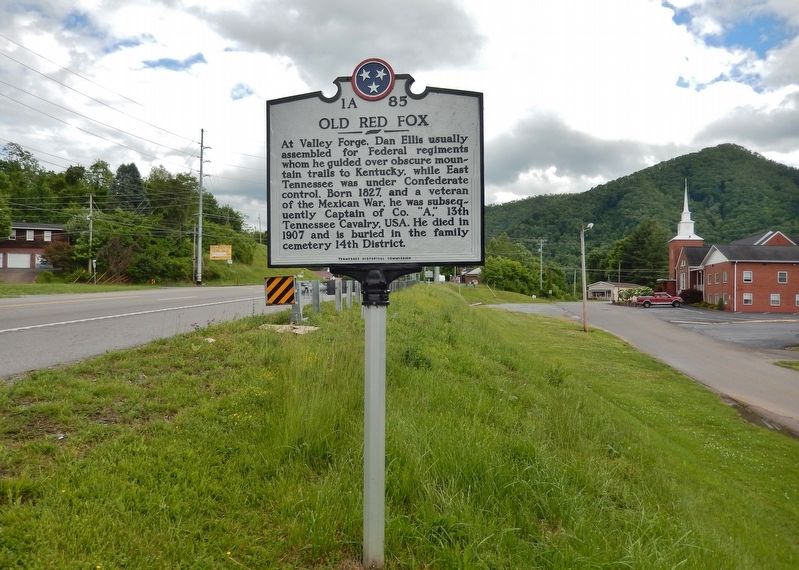 Old Red Fox Marker (<i>wide view • US Highway 19E on left</i>) image. Click for full size.