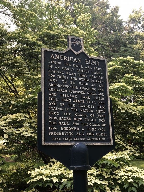 American Elms Marker image. Click for full size.