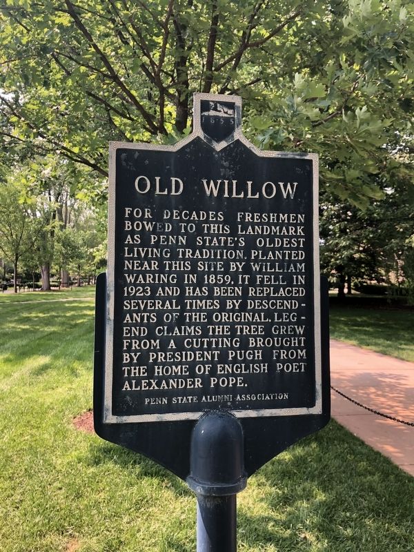 Old Willow Marker image. Click for full size.