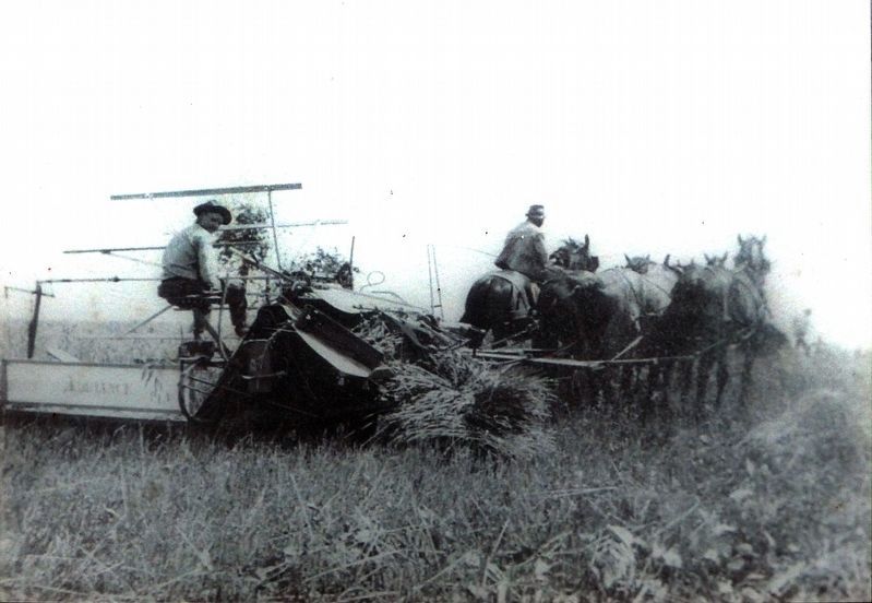Harvester image. Click for full size.