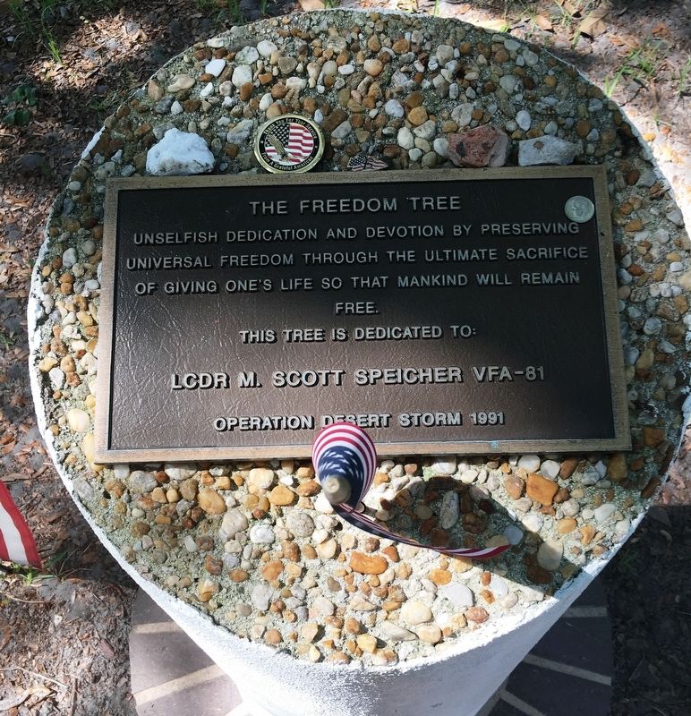 LCDR M. Scott Speicher Marker. Click for full size. LCDR M. Scott Speicher Marker image. Click for full size.