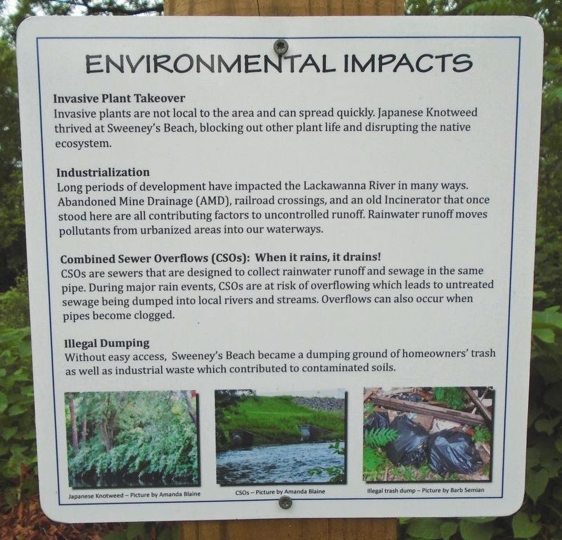 Lackawanna River Environmental Impact Marker image. Click for full size.