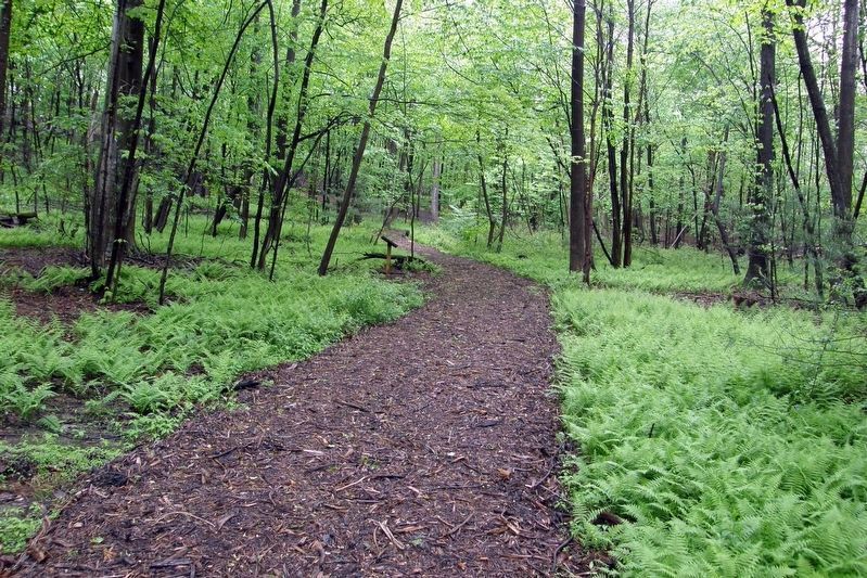 The marker is on the left about a third of the way along this trail.. Click for full size. The marker is on the left about a third of the way along this trail. image. Click for full size.