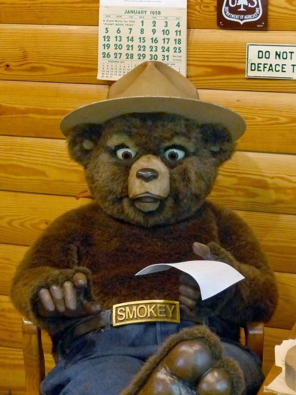 Smokey Bear image. Click for full size.