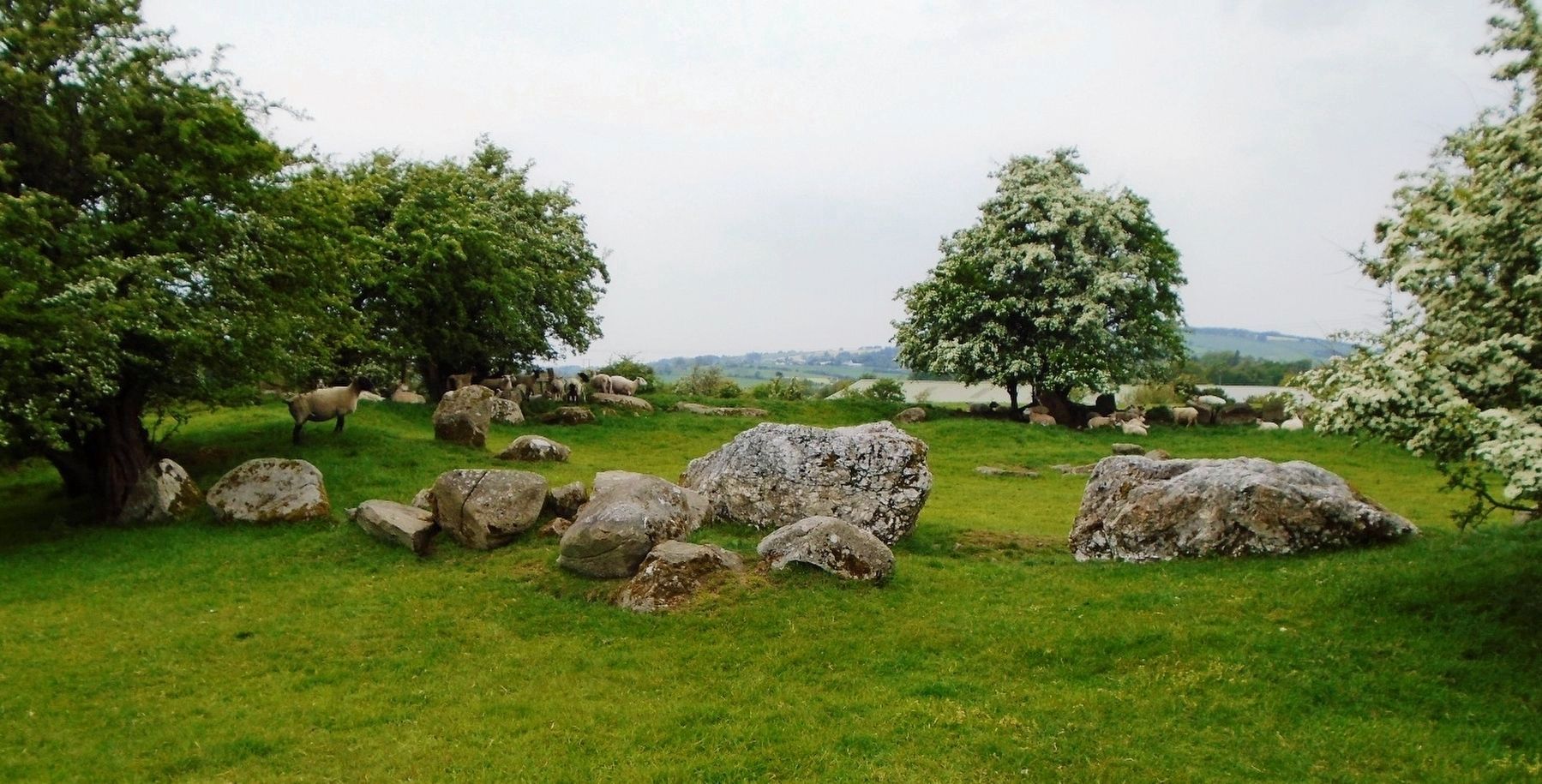 Ciorcal Cloch le Claífort Chaisleán an Ridire / Castleruddery Embanked Stone Circle image. Click for full size.