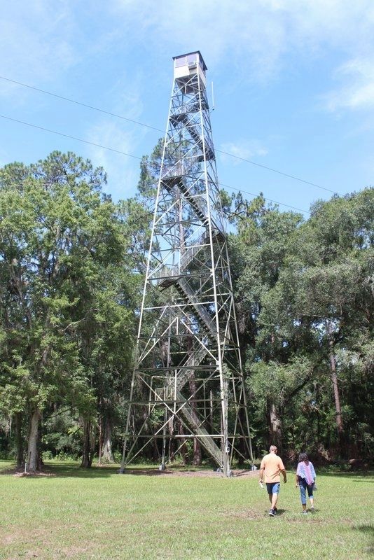 Fire tower located just to the north of marker. image. Click for full size.