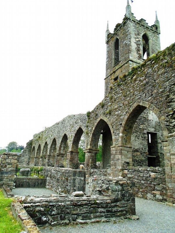Mainistir Bhealach Conglais / Baltinglass Abbey Detail. Click for full size. Mainistir Bhealach Conglais / Baltinglass Abbey Detail image. Click for full size.