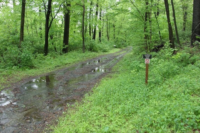 Rolando Woods Trail. Click for full size. Rolando Woods Trail image. Click for full size.