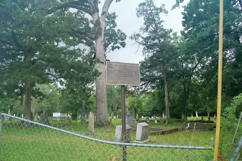 Rapides Cemetery Marker image. Click for full size.