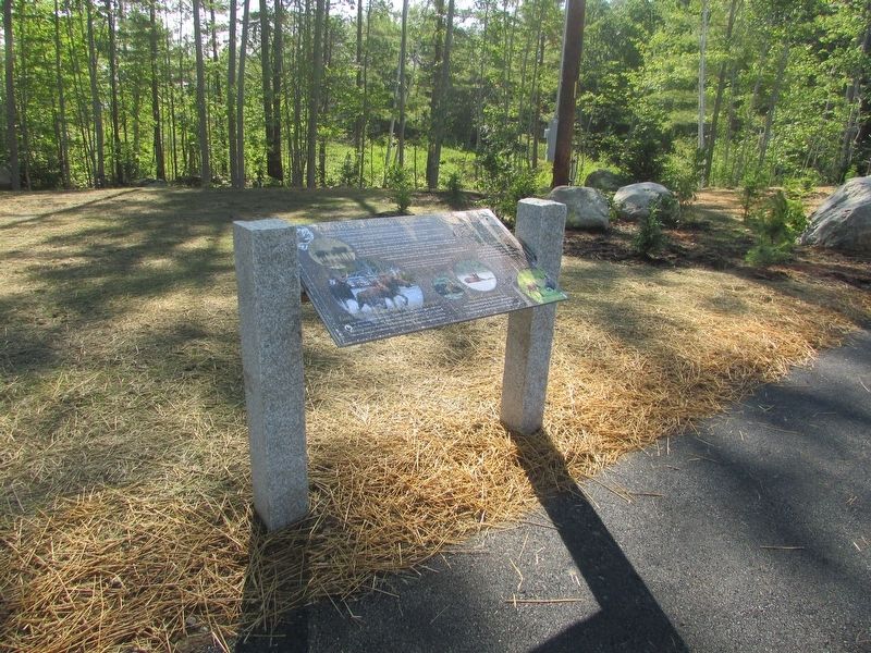 Want to see a moose? Think like one! Marker. Click for full size. Want to see a moose? Think like one! Marker image. Click for full size.