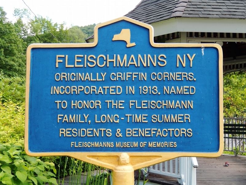 Fleischmanns NY Marker image. Click for full size.
