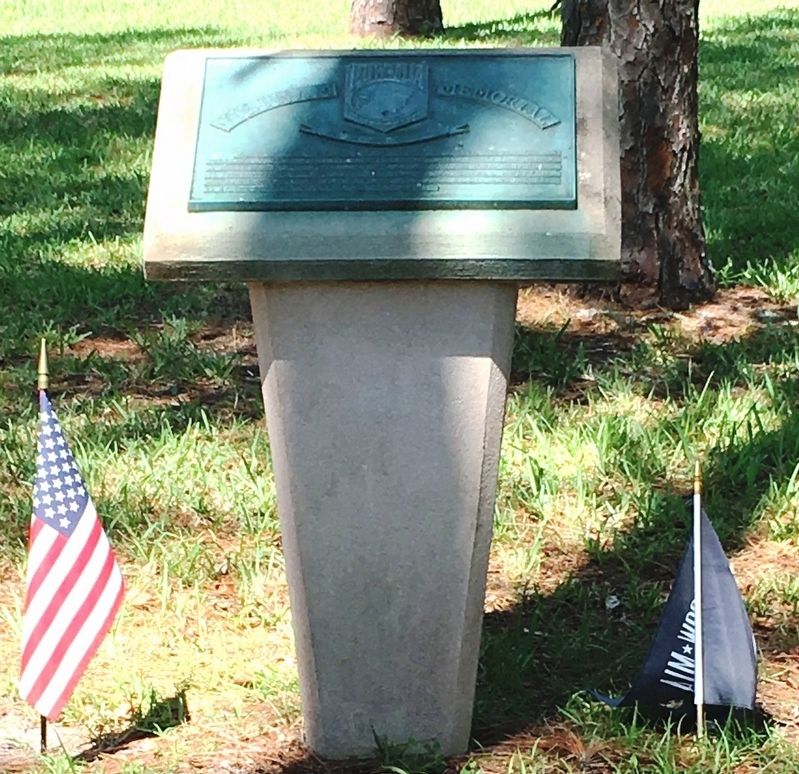 Vietnam POW*MIA Memorial image. Click for full size.