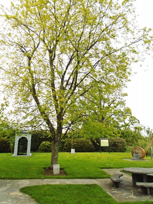 Brian Mulroney Ancestral Home Visit Marker and Tree image. Click for full size.