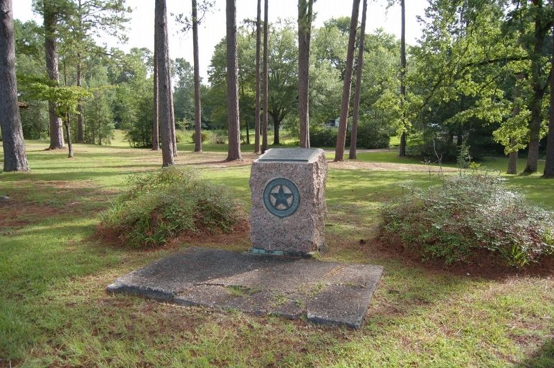 Newton County Marker image. Click for full size.