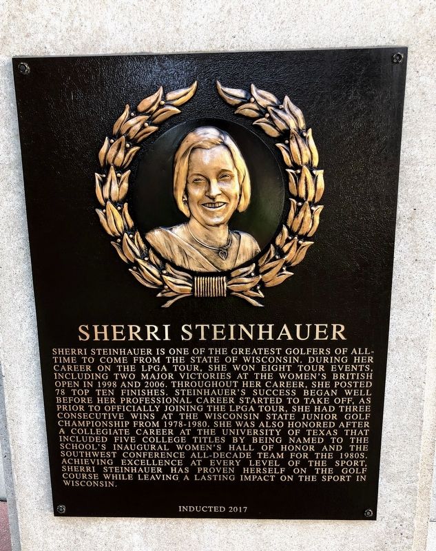 Sherri Steinhauer Marker image. Click for full size.