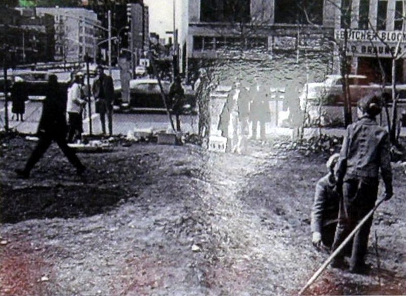 Inset image. Click for full size.