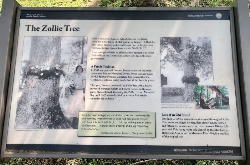 The Zollie Tree Marker image. Click for full size.