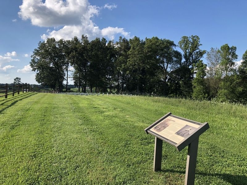 View from marker towards Zollicoffer Park. image. Click for full size.