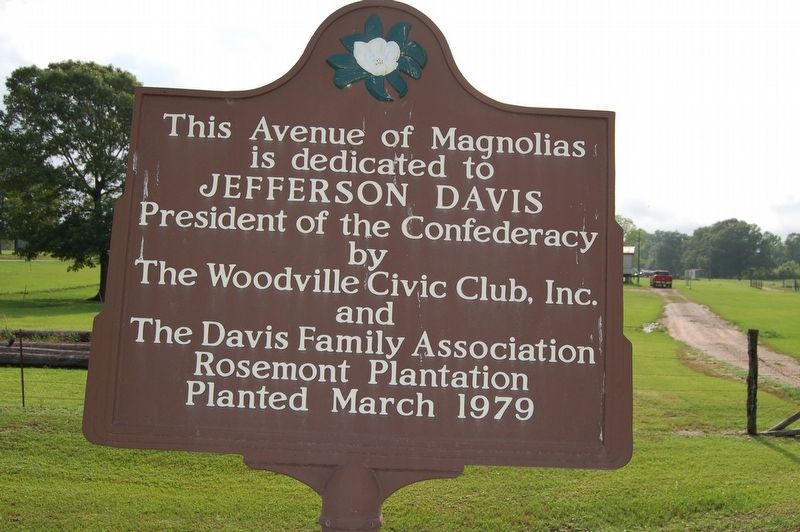 Avenue of Magnolias Marker image. Click for full size.