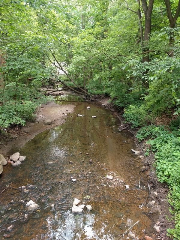Waukegan River. Click for full size. Waukegan River image. Click for full size.