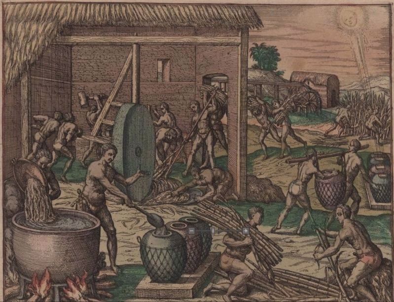 The earliest image of sugar production on Hispaniola image. Click for full size.