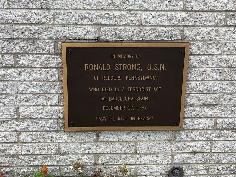 Ronald Strong, U.S.N. Marker image. Click for full size.