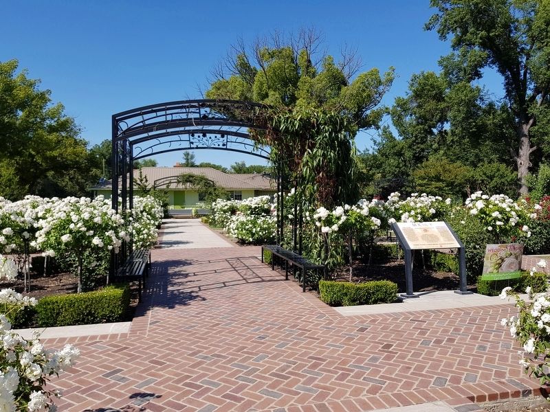 McKinley Rose Garden and Marker image. Click for full size.