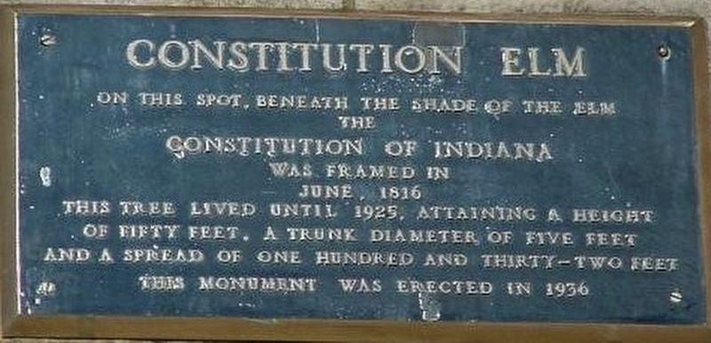 Constitution Elm Marker image. Click for full size.