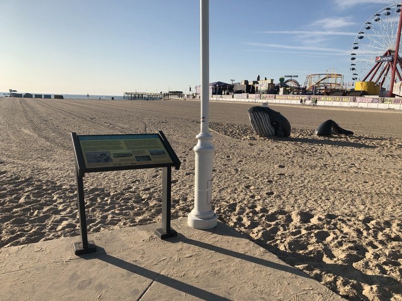Pier Ballroom & Bandshell Marker. Click for full size. Pier Ballroom & Bandshell Marker image. Click for full size.