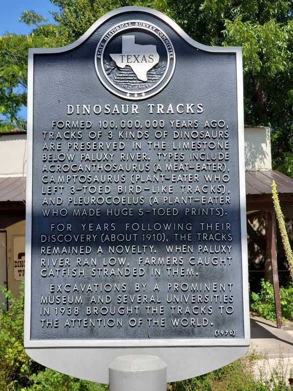 Dinosaur Tracks Marker image. Click for full size.