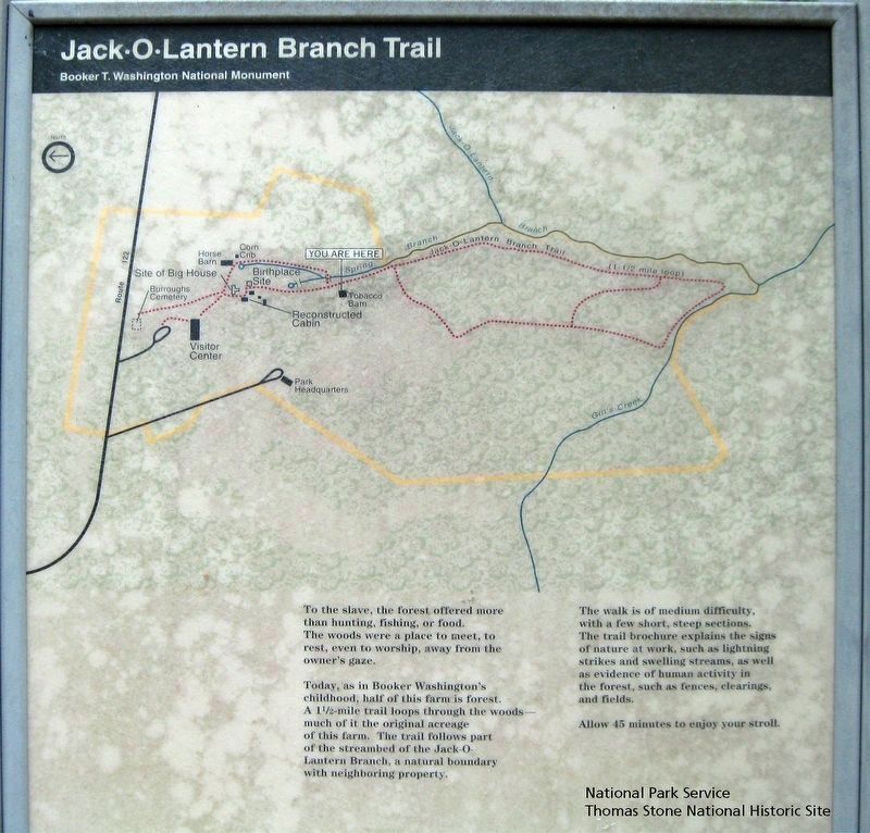 Jack-O-Lantern Branch Trail Marker (Upper half) image. Click for full size.