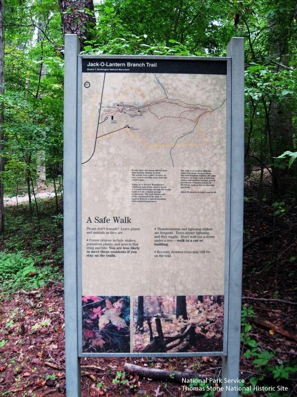 Jack-O-Lantern Branch Trail Marker image. Click for full size.